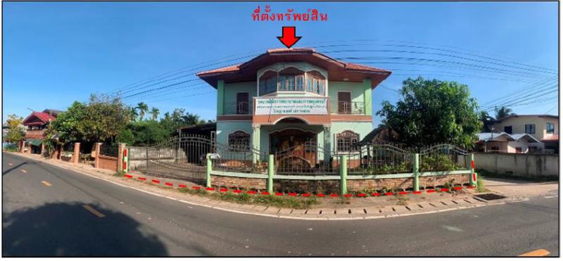 ผักแพว กันทรารมย์ ศรีสะเกษ