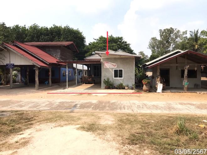 ผักแพว กันทรารมย์ ศรีสะเกษ